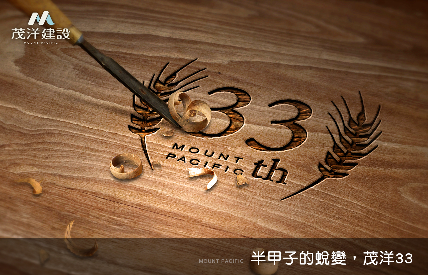 半甲子的蛻變，茂洋33