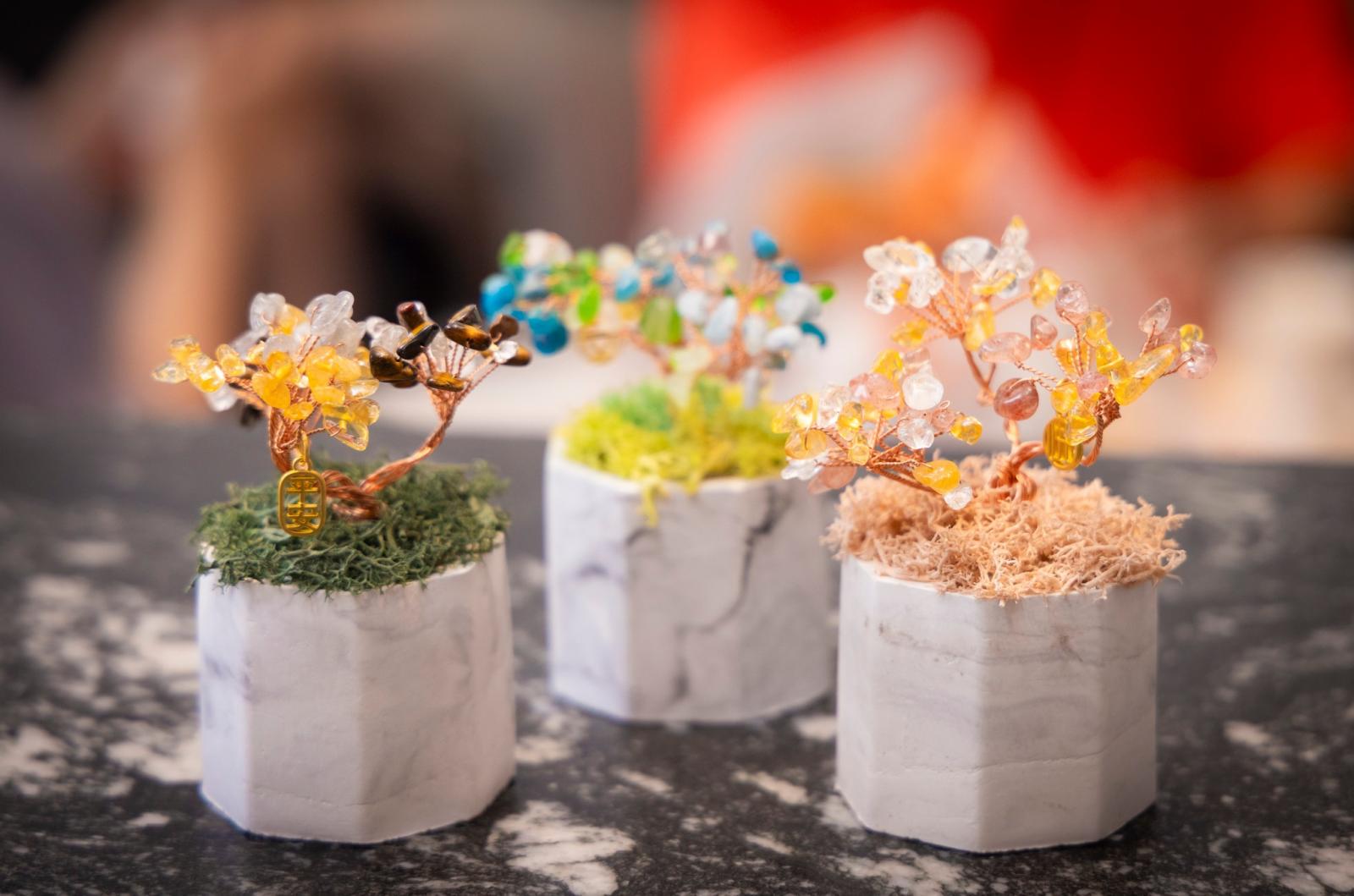 把祝福編織進一棵小樹裡